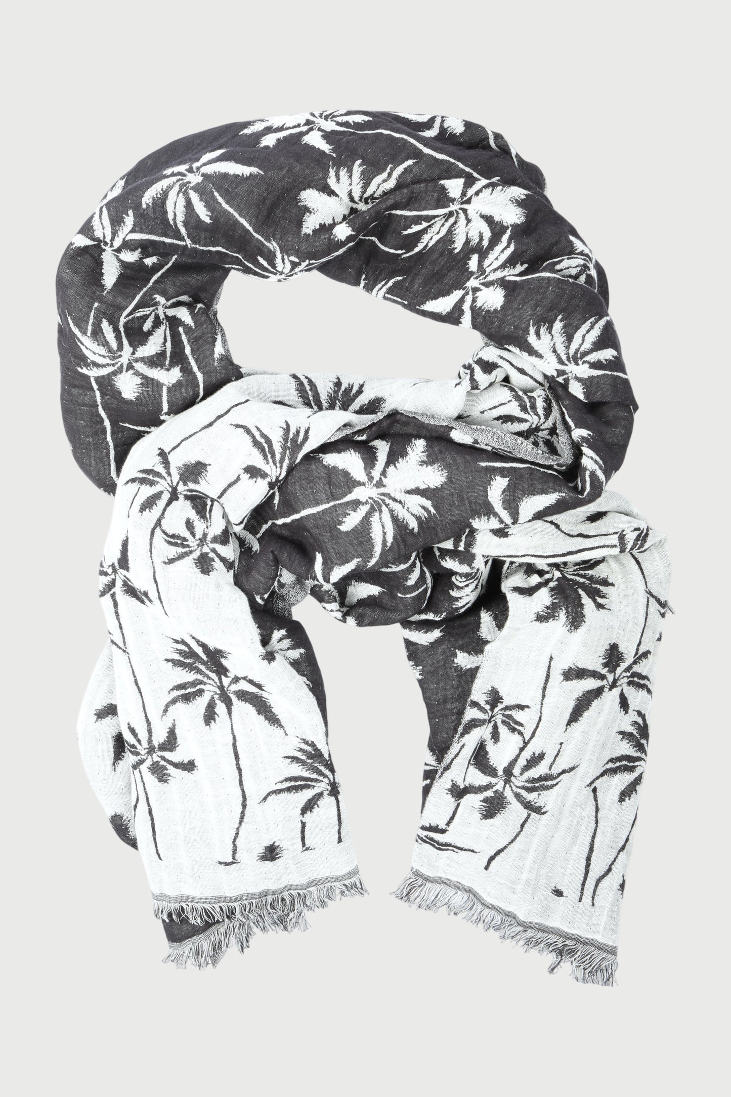 SCARF PALM